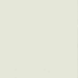 Линолеум Настенное покрытие Tarkett Wallgard Rolls White Green фото ##numphoto## | FLOORDEALER